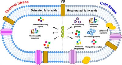 Editorial: Exploration of cold-adapted microorganisms for sustainable development